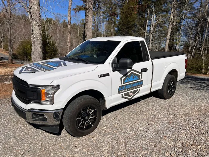 Blue Ridge Mountain Termite and Pest Control Picture 1