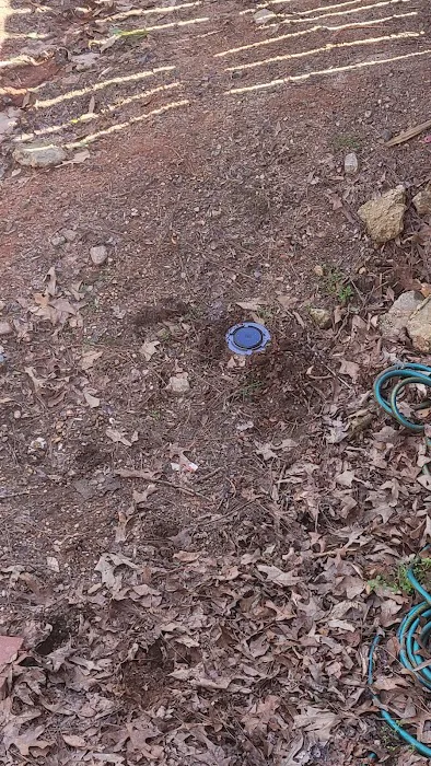 Northwest Exterminating - Dawsonville Picture 7