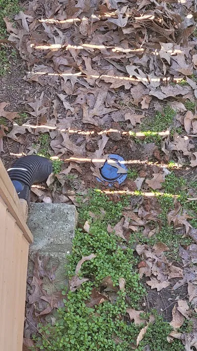 Northwest Exterminating - Dawsonville Picture 6