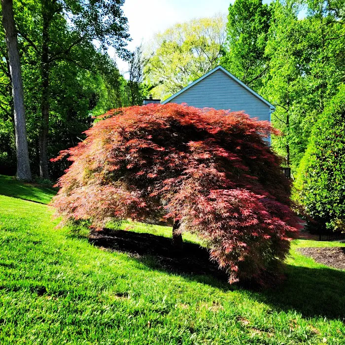 Northwest Exterminating - Dawsonville Picture 5