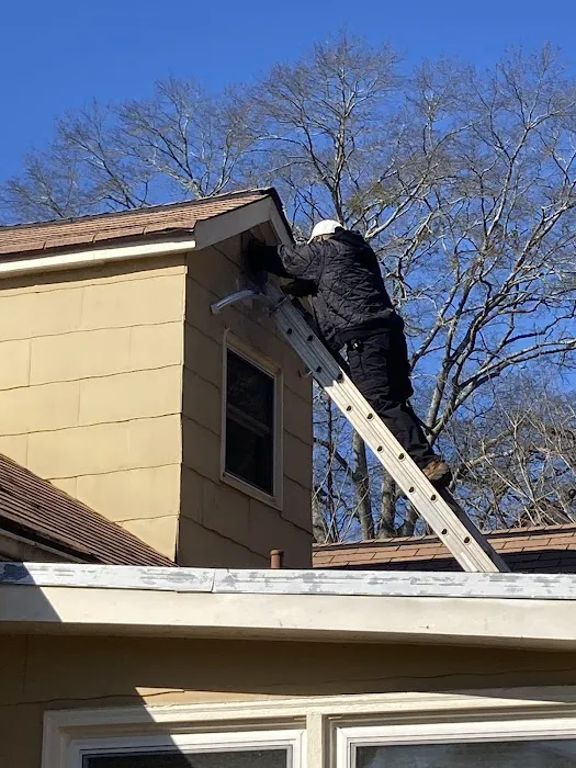 Dr. Pest Solutions LLC Picture 1