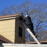 Dr. Pest Solutions LLC