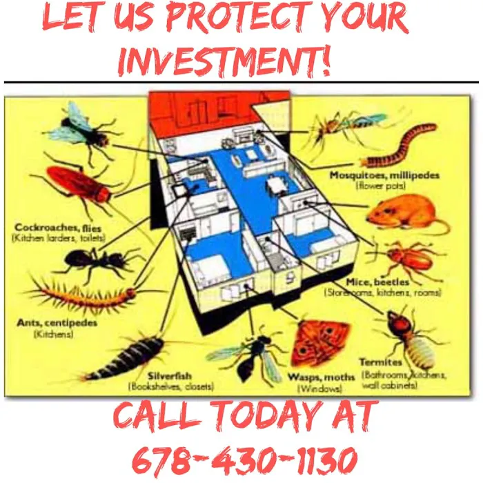 First Class Pest Control Picture 2