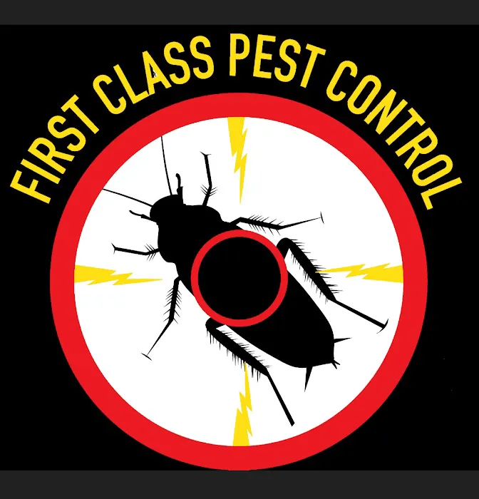First Class Pest Control Picture 3
