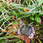 First Class Pest Control