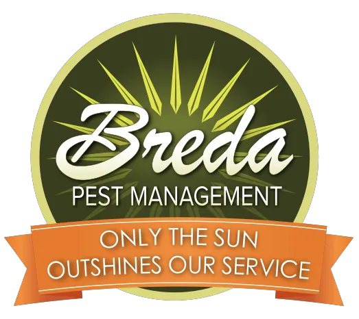 Breda Pest Management Picture 1