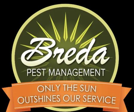 Breda Pest Management