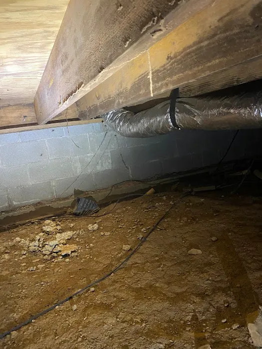 Breda Pest Management Picture 6