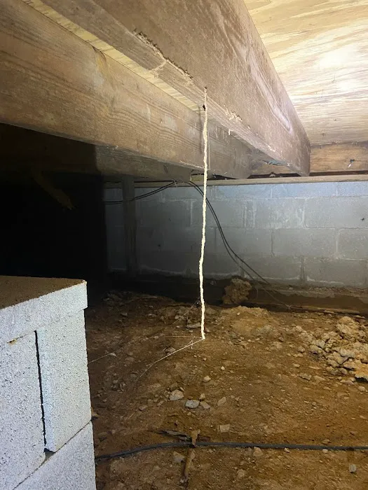 Breda Pest Management Picture 8