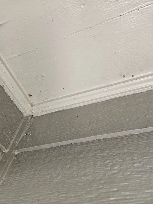 Massey Services Pest Control Picture 7