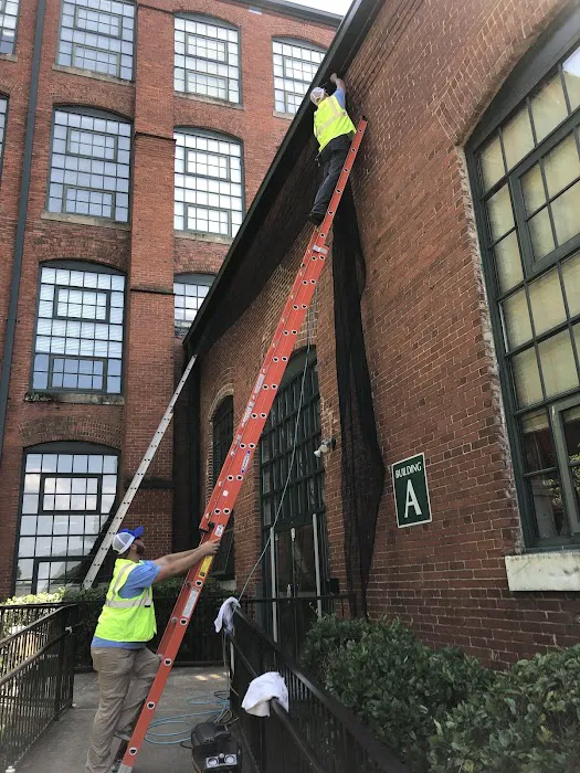 Flexible Pest Services Picture 8