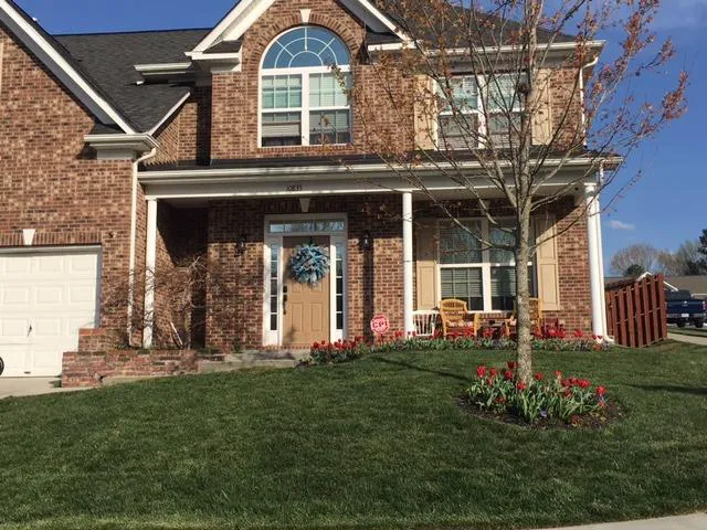 Top Turf Lawn Care and Pest Management Picture 4
