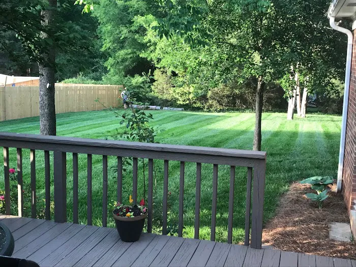 Top Turf Lawn Care and Pest Management Picture 9