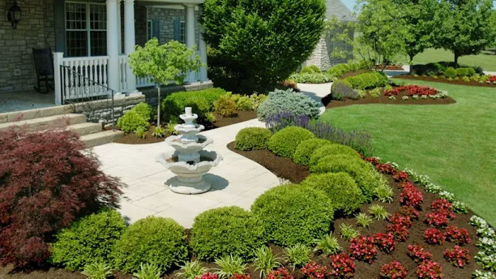 Top Turf Lawn Care and Pest Management Picture 3