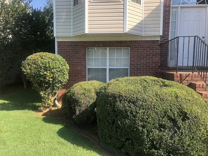 Top Turf Lawn Care and Pest Management Picture 1