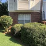 Top Turf Lawn Care and Pest Management