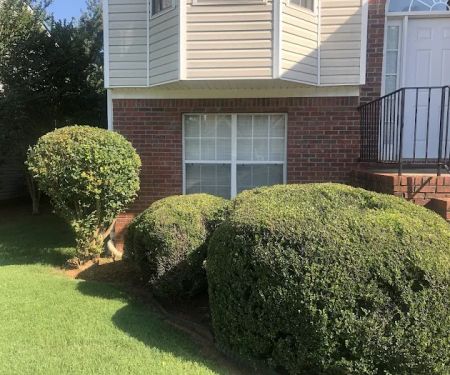 Top Turf Lawn Care and Pest Management