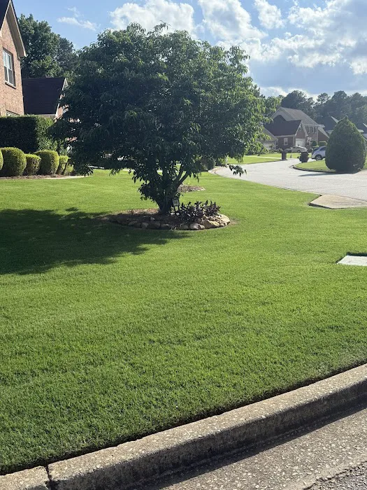 Top Turf Lawn Care and Pest Management Picture 2