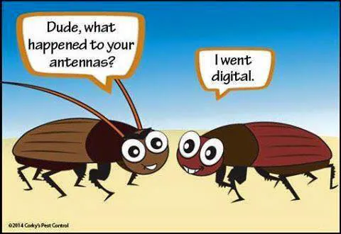 Alert Exterminators Picture 4