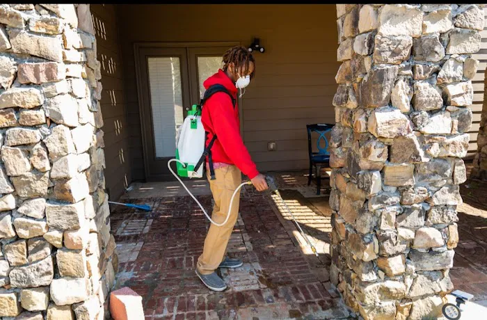 Kuma Pest Control Picture 5