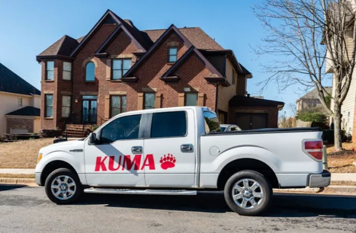 Kuma Pest Control Picture 4