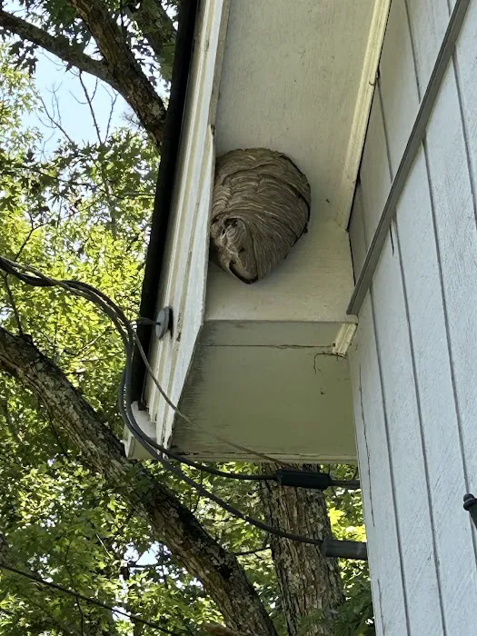 Expest Exterminating Pest Control Picture 4