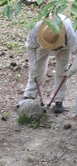 Andrews Termite & Pest Control Inc. Picture 5