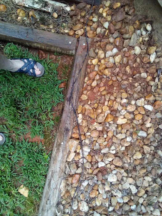Andrews Termite & Pest Control Inc. Picture 1