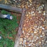 Andrews Termite & Pest Control Inc.