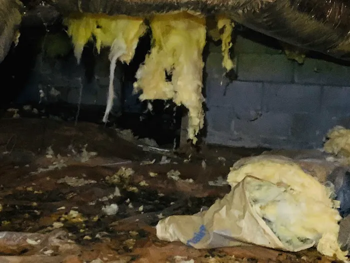 Bugged-Up Pest Services, LLC Picture 1
