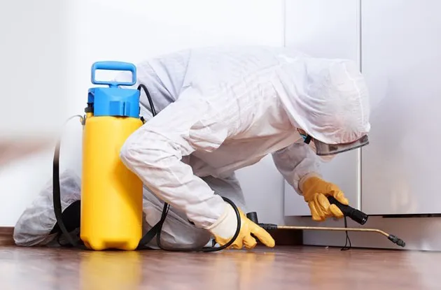 Wilmax Services Picture 7