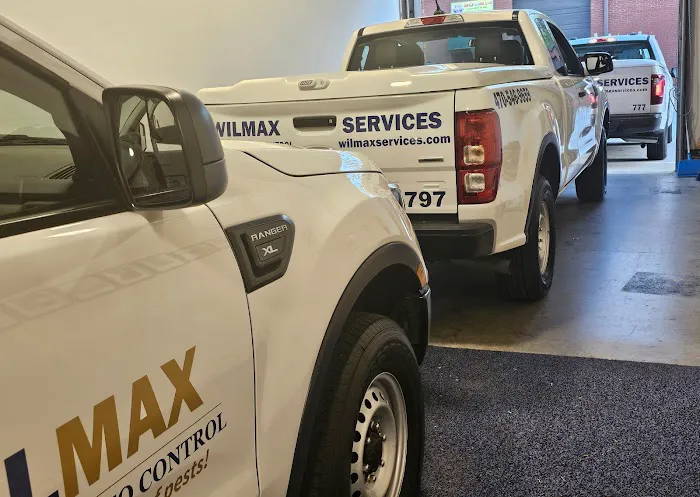 Wilmax Services Picture 8