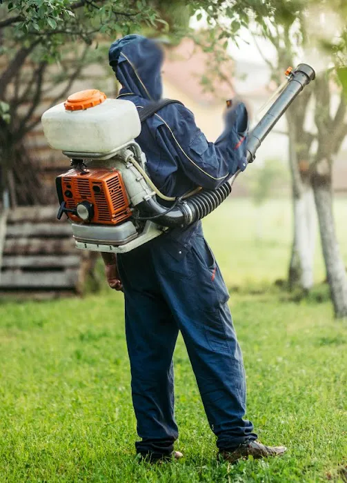 Wilmax Services Picture 5