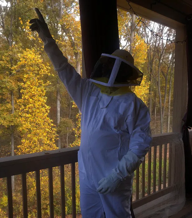 Wilmax Services Picture 4