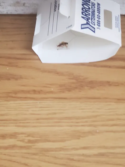 Arrow Exterminators Picture 7