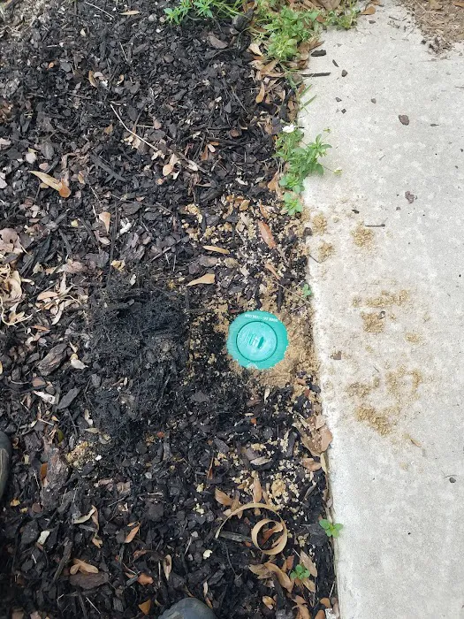 Gressette Pest Management Picture 8