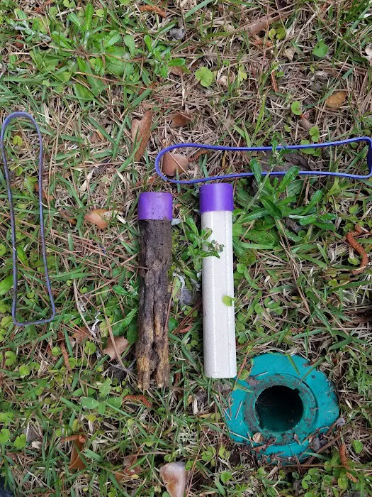 Gressette Pest Management Picture 4