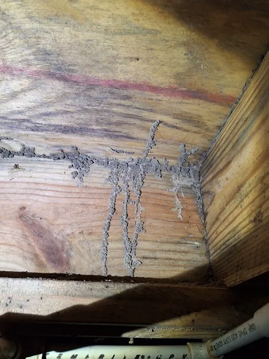 Gressette Pest Management Picture 7