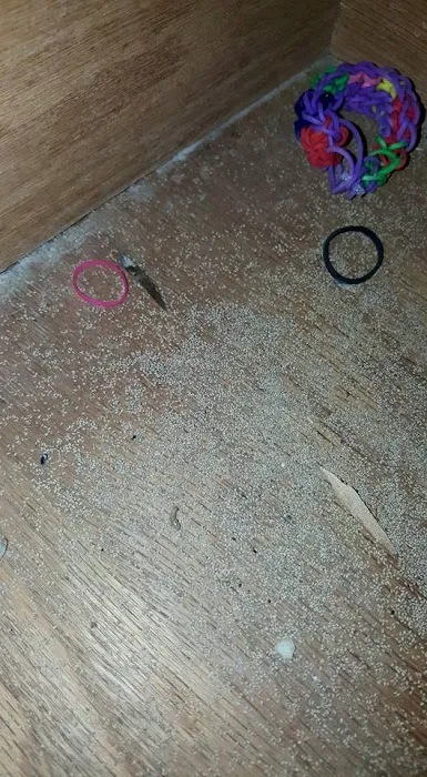 Sellers Pest Control Picture 3