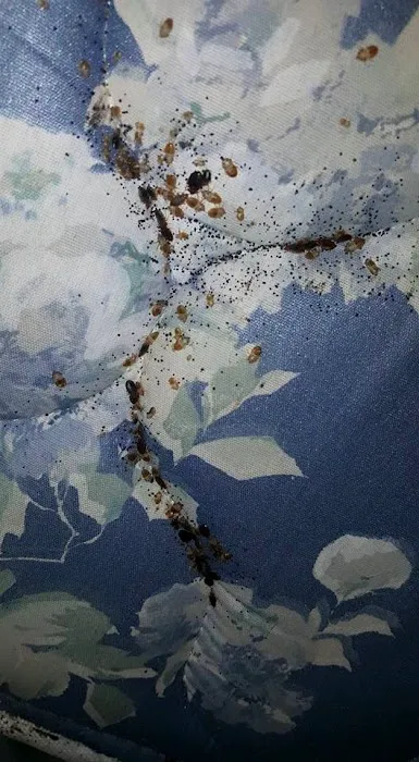 Sellers Pest Control Picture 2