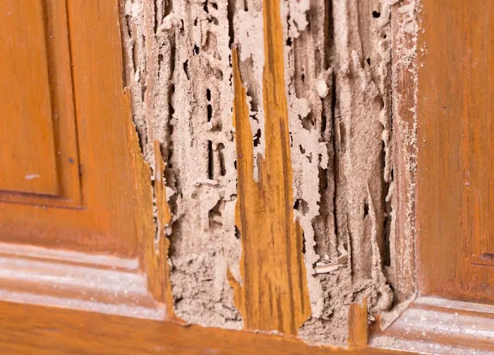 Flowertown Termite Experts Picture 10