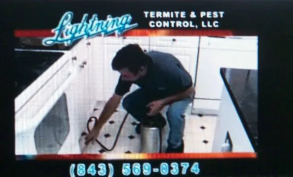 Lightning Termite & Pest Control Picture 8