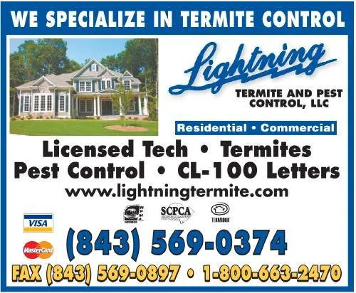 Lightning Termite & Pest Control Picture 1