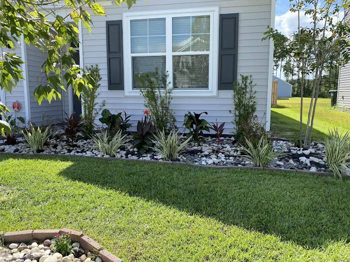 Aruza Pest Control Picture 10