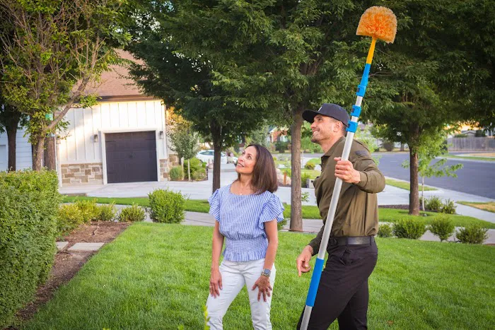RIDD Pest Control Picture 8