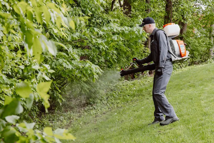 Spidexx Pest Control - Charleston Picture 6