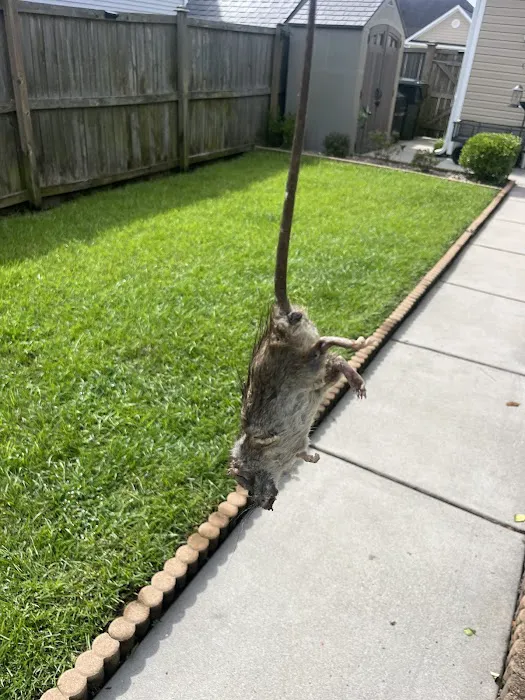 Aptive Pest Control Picture 10