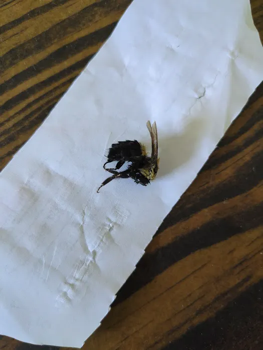Aptive Pest Control Picture 5