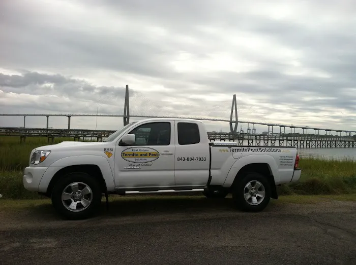 East Cooper Termite & Pest Solutions Picture 7