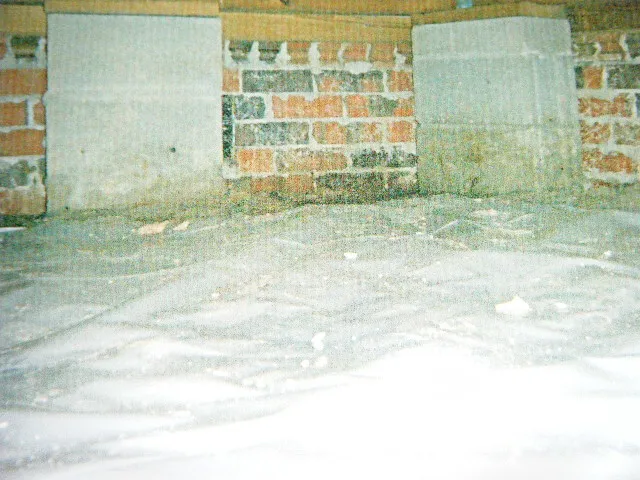 East Cooper Termite & Pest Solutions Picture 5